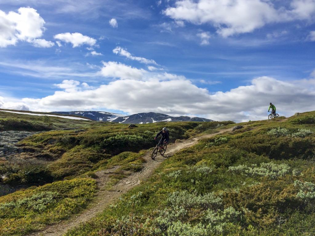 Liatoppen Fjellhotell Ол Екстер'єр фото